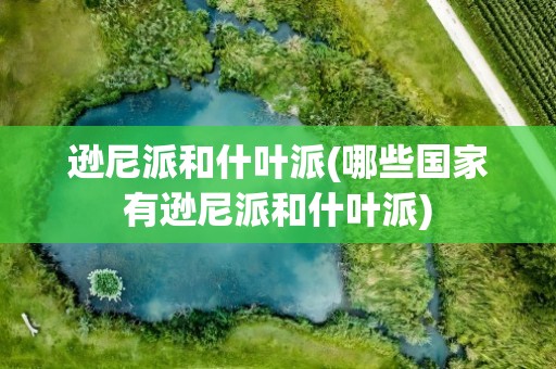 逊尼派和什叶派(哪些国家有逊尼派和什叶派)