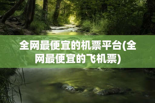 全网最便宜的机票平台(全网最便宜的飞机票)