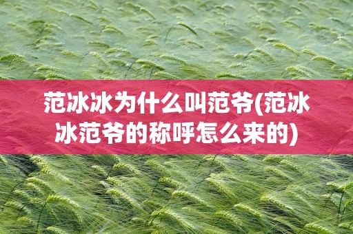 范冰冰为什么叫范爷(范冰冰范爷的称呼怎么来的)