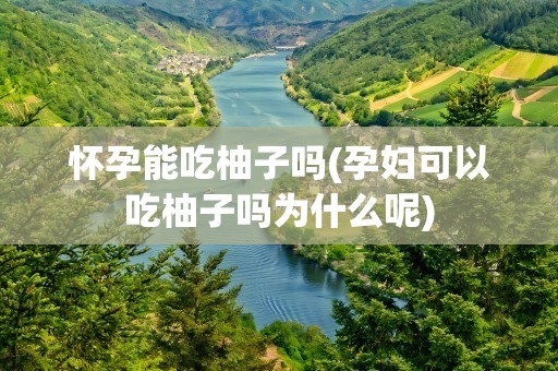 怀孕能吃柚子吗(孕妇可以吃柚子吗为什么呢)