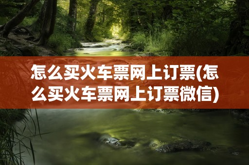怎么买火车票网上订票(怎么买火车票网上订票微信)