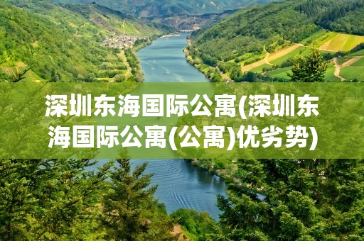 深圳东海国际公寓(深圳东海国际公寓(公寓)优劣势)