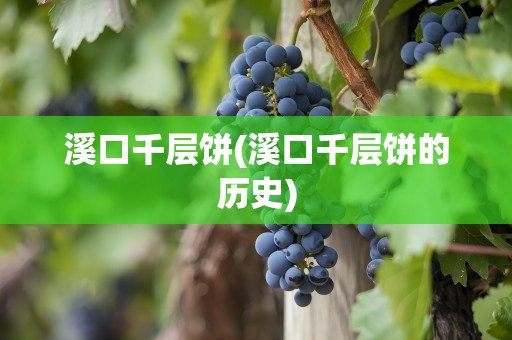 溪口千层饼(溪口千层饼的历史)