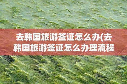 去韩国旅游签证怎么办(去韩国旅游签证怎么办理流程)