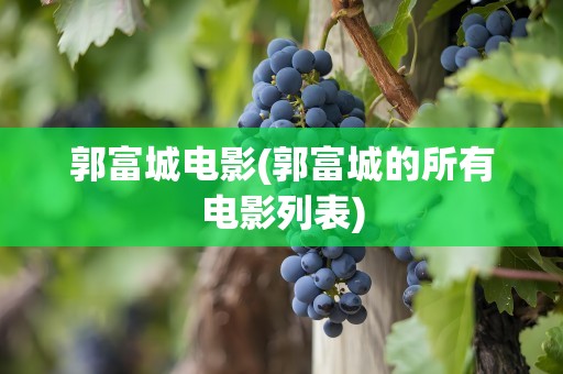 郭富城电影(郭富城的所有电影列表)