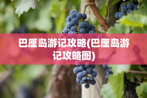 巴厘岛游记攻略(巴厘岛游记攻略图)