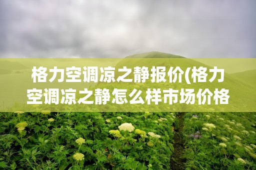 格力空调凉之静报价(格力空调凉之静怎么样市场价格如何)