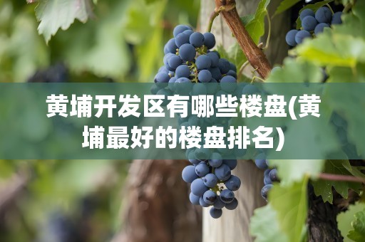 黄埔开发区有哪些楼盘(黄埔最好的楼盘排名)