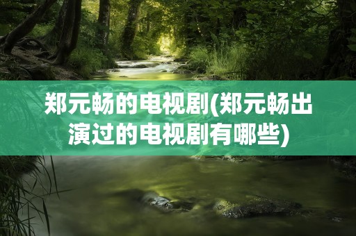 郑元畅的电视剧(郑元畅出演过的电视剧有哪些)