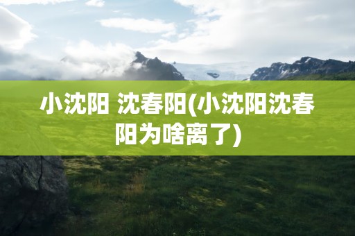 小沈阳 沈春阳(小沈阳沈春阳为啥离了)