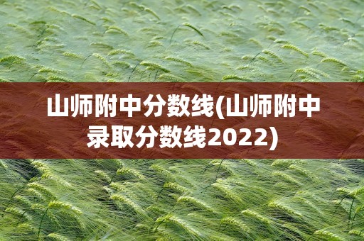 山师附中分数线(山师附中录取分数线2022)