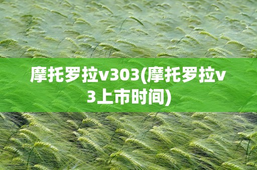 摩托罗拉v303(摩托罗拉v3上市时间)