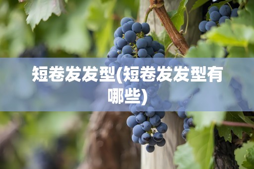 短卷发发型(短卷发发型有哪些)