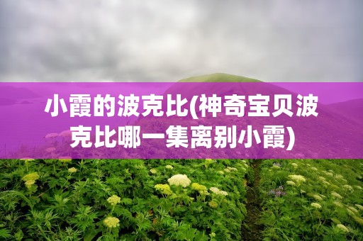 小霞的波克比(神奇宝贝波克比哪一集离别小霞)