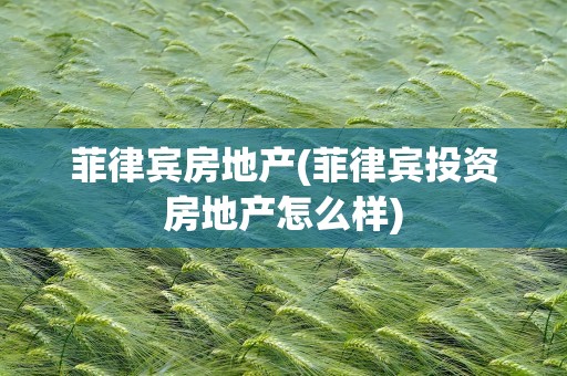 菲律宾房地产(菲律宾投资房地产怎么样)