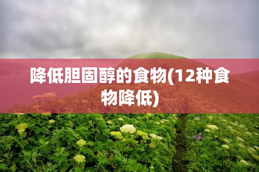 降低胆固醇的食物(12种食物降低)