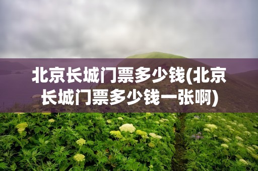 北京长城门票多少钱(北京长城门票多少钱一张啊)
