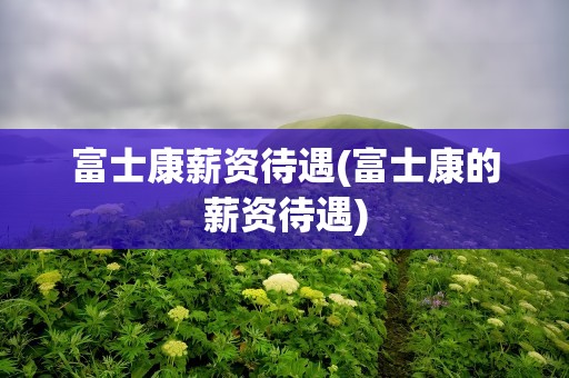 富士康薪资待遇(富士康的薪资待遇)