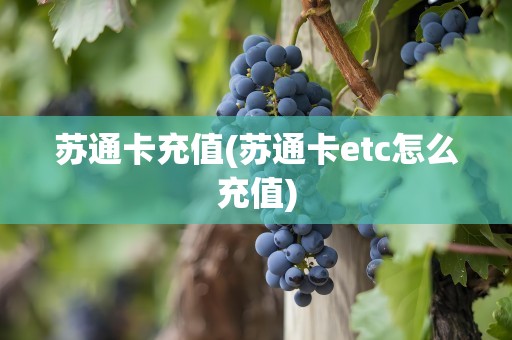 苏通卡充值(苏通卡etc怎么充值)