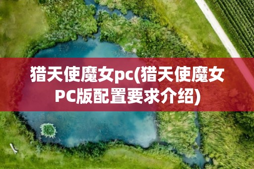 猎天使魔女pc(猎天使魔女PC版配置要求介绍)