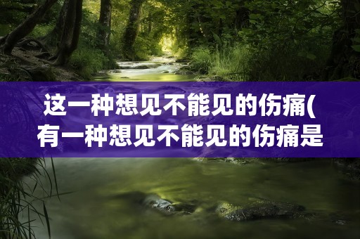 这一种想见不能见的伤痛(有一种想见不能见的伤痛是什么歌)