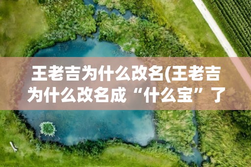 王老吉为什么改名(王老吉为什么改名成“什么宝”了)