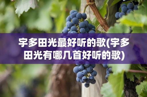 宇多田光最好听的歌(宇多田光有哪几首好听的歌)