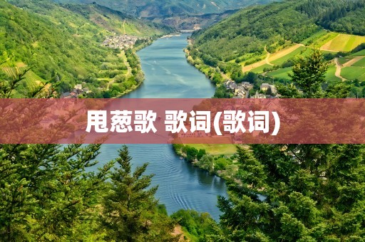 甩葱歌 歌词(歌词)