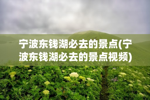 宁波东钱湖必去的景点(宁波东钱湖必去的景点视频)