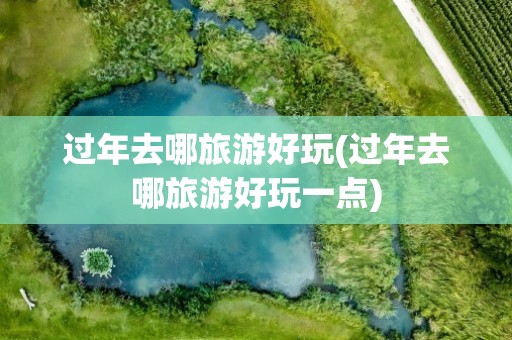 过年去哪旅游好玩(过年去哪旅游好玩一点)