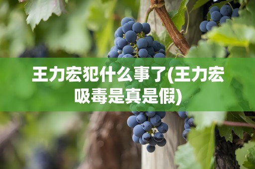 王力宏犯什么事了(王力宏吸毒是真是假)