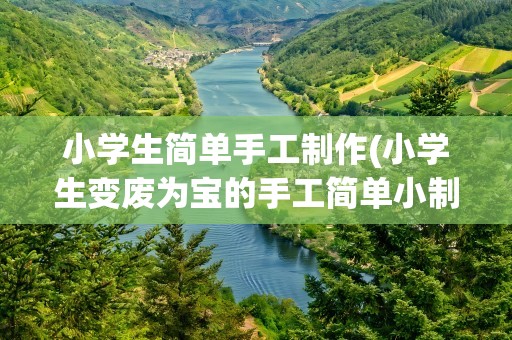 小学生简单手工制作(小学生变废为宝的手工简单小制作有哪些)