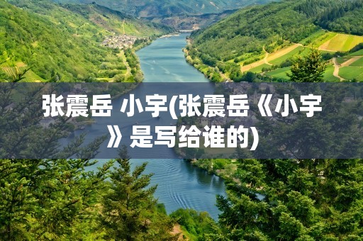 张震岳 小宇(张震岳《小宇》是写给谁的)