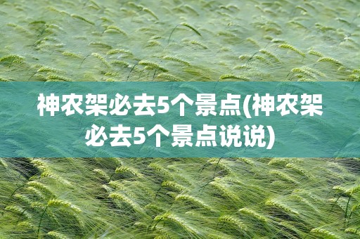 神农架必去5个景点(神农架必去5个景点说说)
