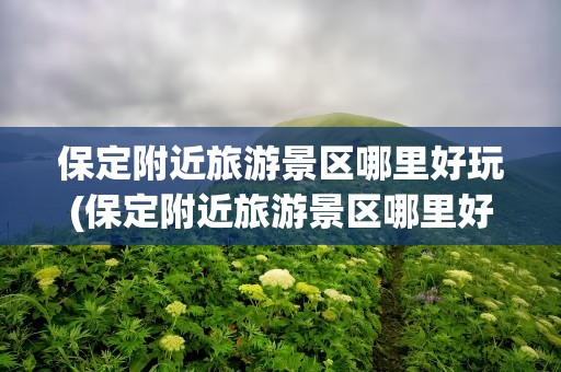 保定附近旅游景区哪里好玩(保定附近旅游景区哪里好玩免费)