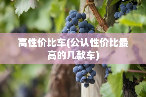 高性价比车(公认性价比最高的几款车)