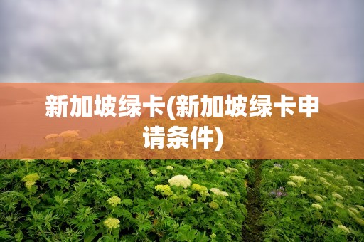 新加坡绿卡(新加坡绿卡申请条件)