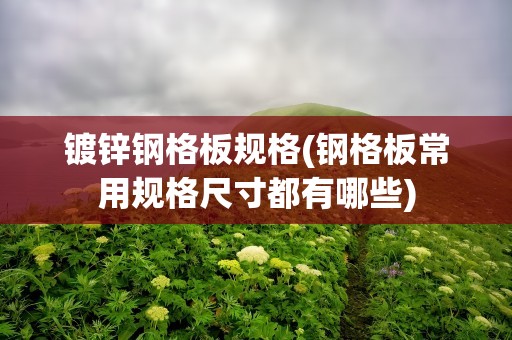 镀锌钢格板规格(钢格板常用规格尺寸都有哪些)