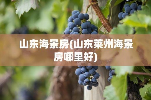 山东海景房(山东莱州海景房哪里好)