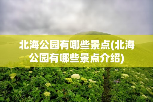 北海公园有哪些景点(北海公园有哪些景点介绍)