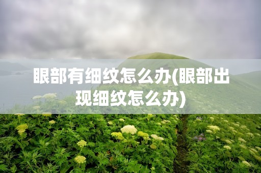 眼部有细纹怎么办(眼部出现细纹怎么办)