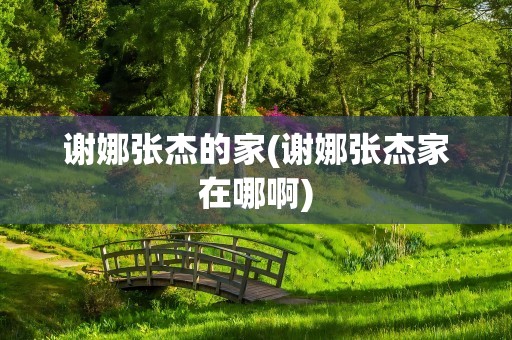 谢娜张杰的家(谢娜张杰家在哪啊)