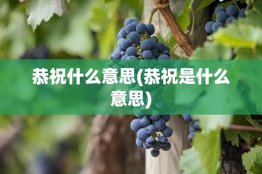 恭祝什么意思(恭祝是什么意思)