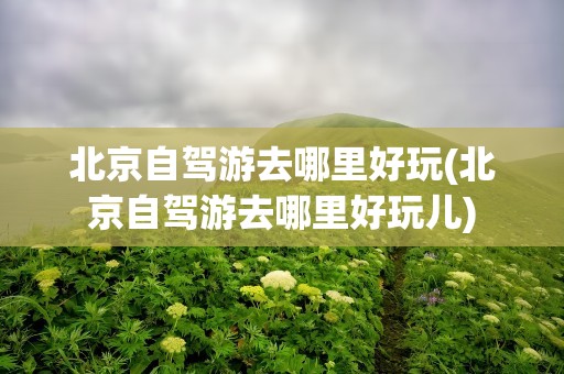 北京自驾游去哪里好玩(北京自驾游去哪里好玩儿)