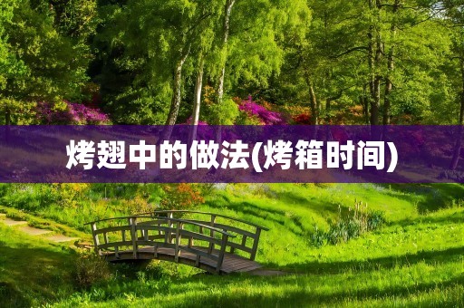 烤翅中的做法(烤箱时间)