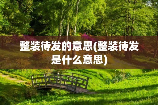 整装待发的意思(整装待发是什么意思)