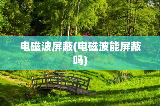 电磁波屏蔽(电磁波能屏蔽吗)