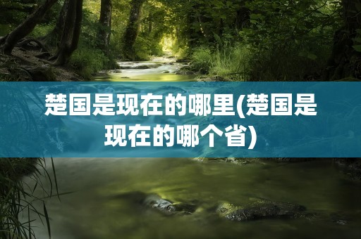 楚国是现在的哪里(楚国是现在的哪个省)