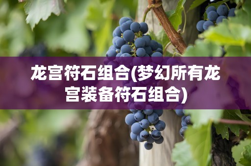 龙宫符石组合(梦幻所有龙宫装备符石组合)