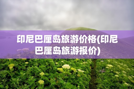 印尼巴厘岛旅游价格(印尼巴厘岛旅游报价)